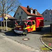 Sonstige_Tätigkeit-Faschingszug Vilseck-3.jpg