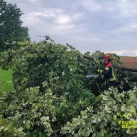 THL-Unwetter Baum Stromleitung 20250726 2.jpg