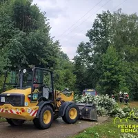 THL-Unwetter Baum Stromleitung 20250726 1.jpg