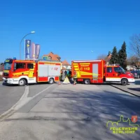Sonstige_Tätigkeit-Faschingszug Vilseck-1.jpg